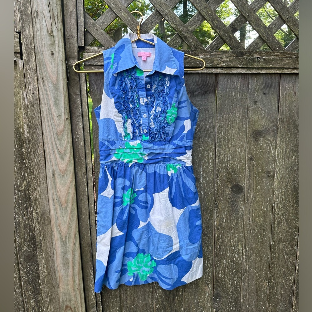 Retro Dress - image 1